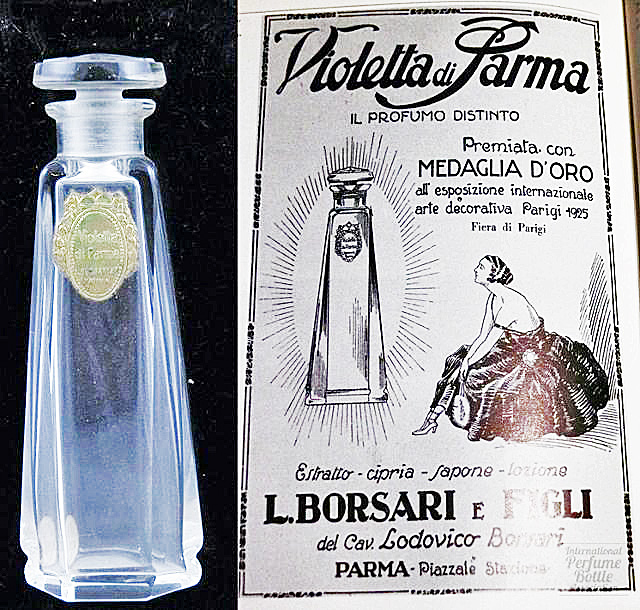 "Violetta di Parma" by Borsari