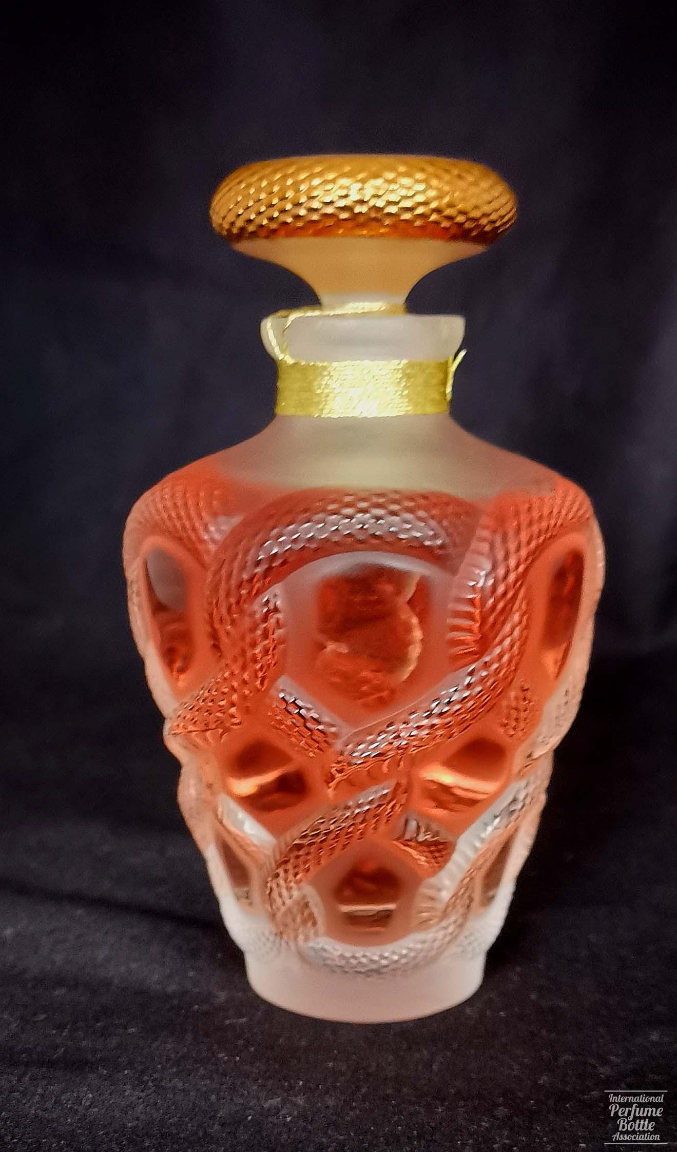 "Seduction" Limited Edition - 2018