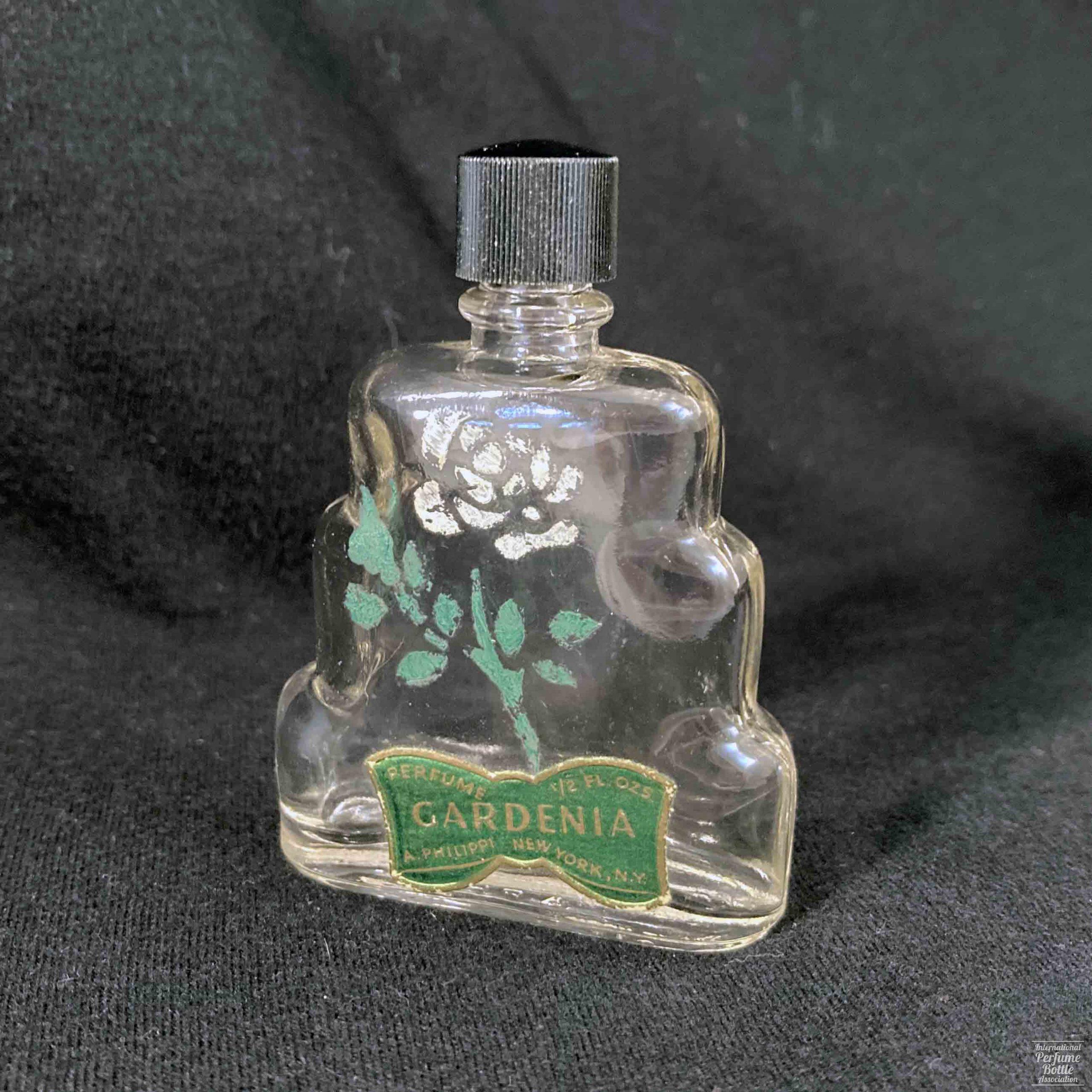 "Gardenia" by Arthur Philippi