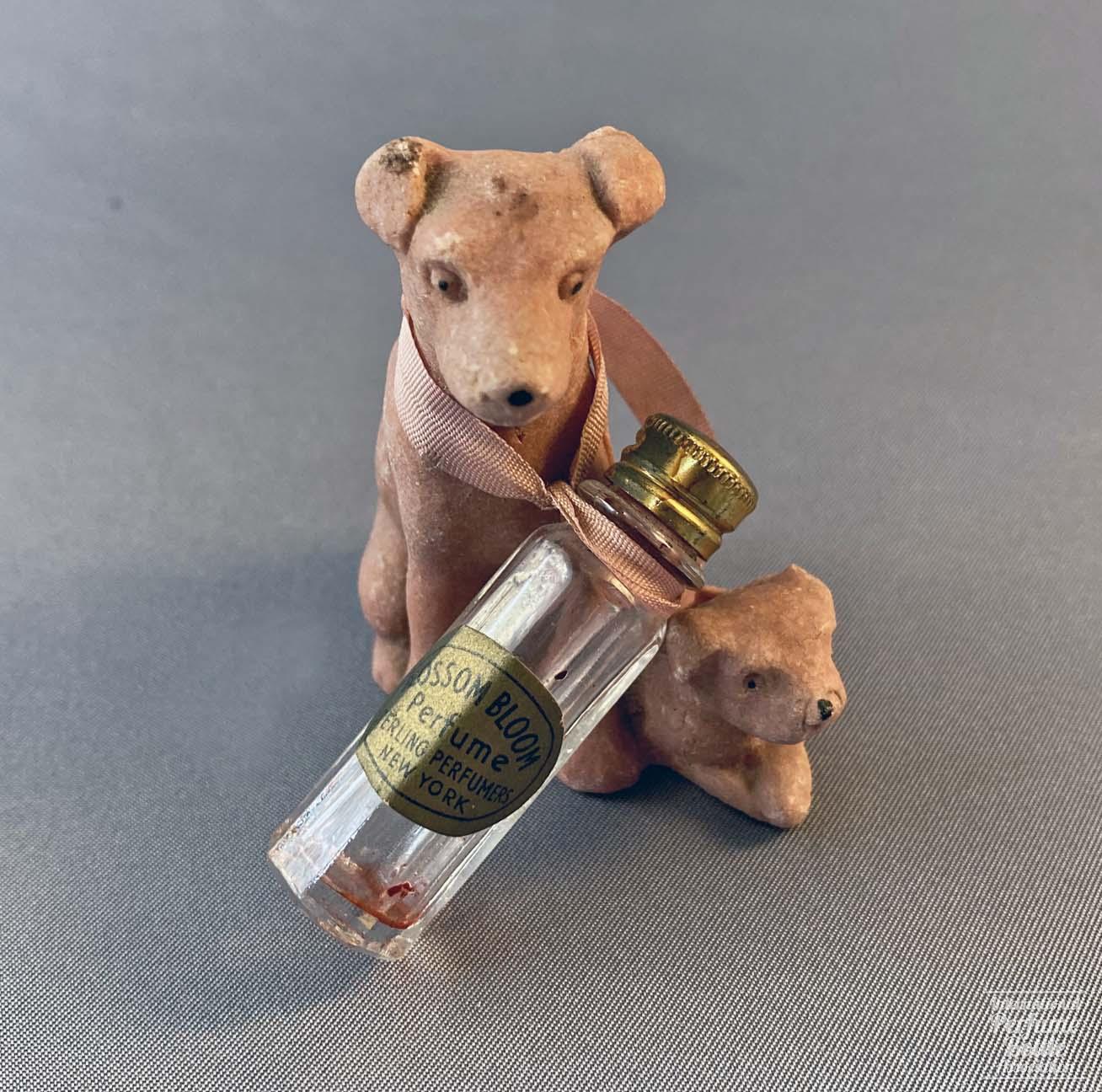 "Blossom Bloom" by Sterling Perfumes Dog Presentation