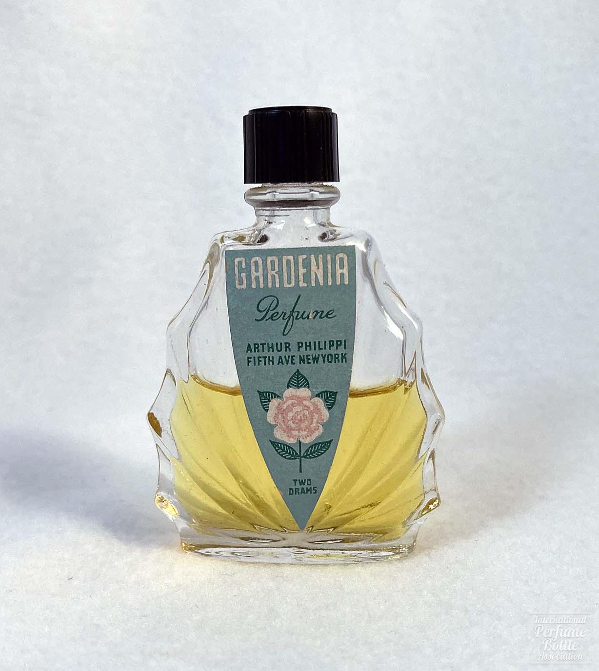 "Gardenia" by Arthur Philippi