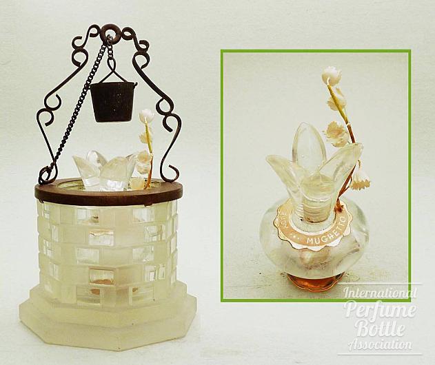 "Mughetto di Bosco" Wishing Well Presentation by Rudy