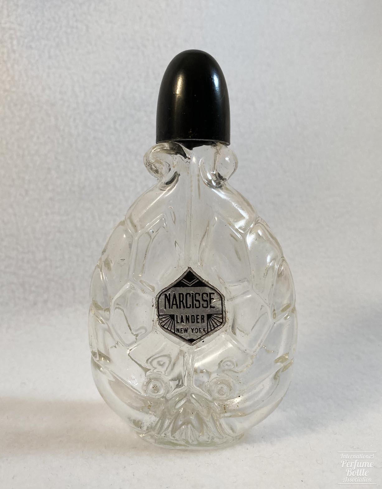 "Narcisse" by Lander