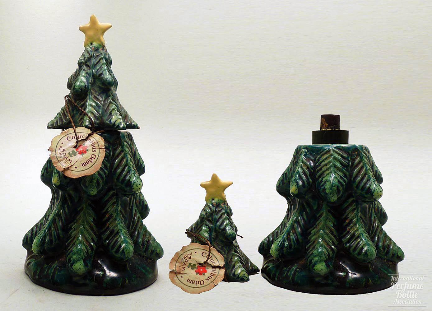 "Calycanthus" by Adam Christmas Tree Presentation