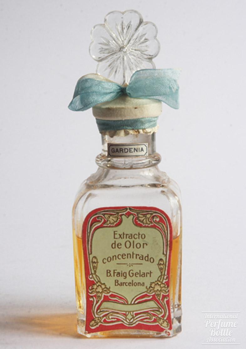 "Gardenia" by B. Faig Gelart