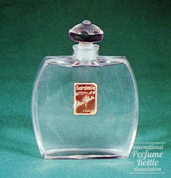 "Gardenia" by Redfern