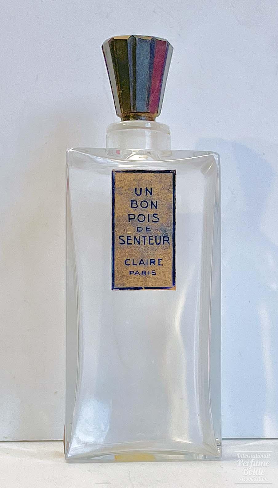 "Un Bon Pois de Senteur" by Claire